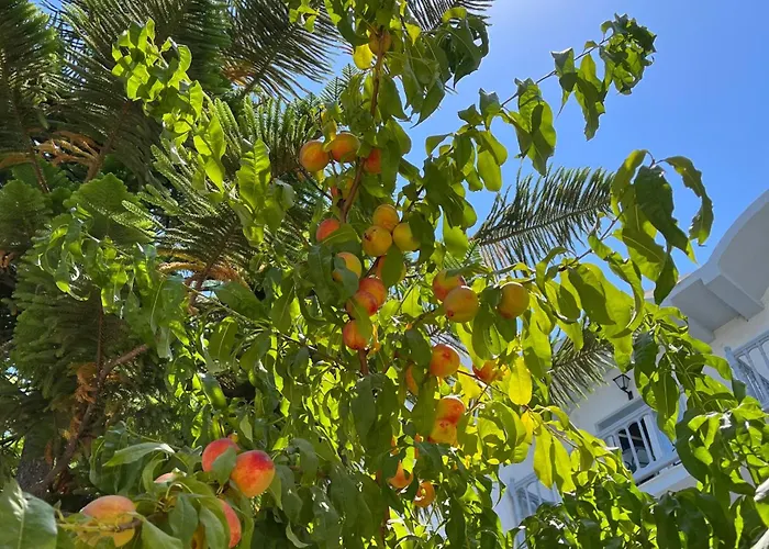 Theodorou Beach Hotel Apartments