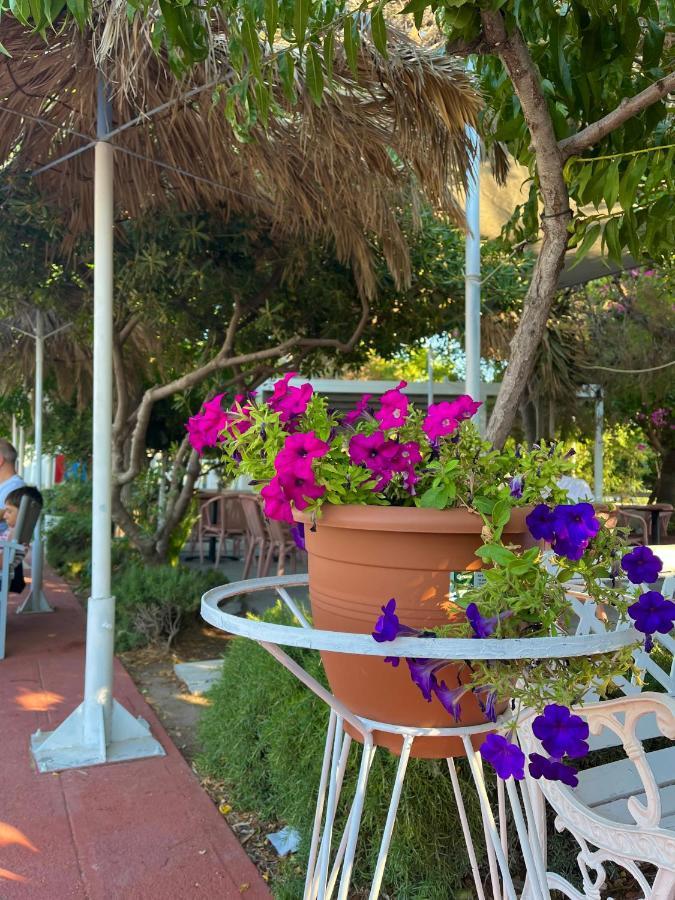 Theodorou Apartahotel Psalidi (Kos)